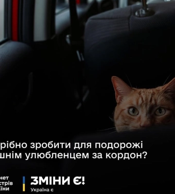 Чи готовий ваш пес або кіт до мандрівки? Діють нові правила перетину кордону
