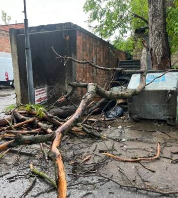 У Чернівцях через негоду припинили рух тролейбуси