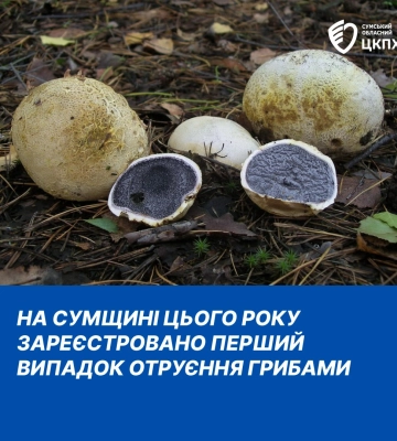 На Сумщині зареєстрований перший випадок отруєння грибами в цьому році
