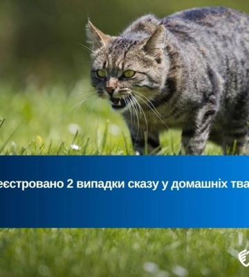 На Рівненщині за тиждень зареєстровано 2 випадки сказу у домашніх тварин