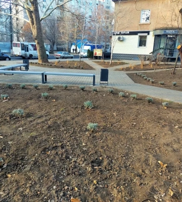 Миколаївські парки насварили містян, які втретє вкрали кущі лаванди у сквері