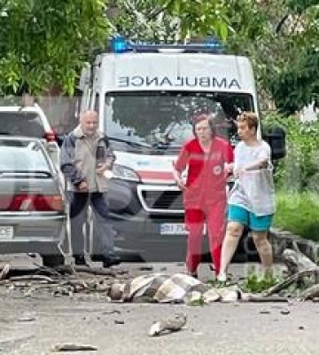 У Полтаві на дитину впало дерево
