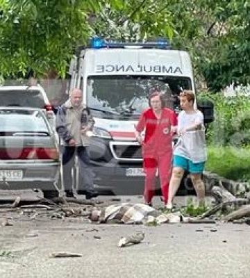 В центрі Полтави на 9-річного хлопчика впало дерево