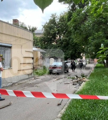 У центрі Полтави на 9-річного хлопчика впала гілка дерева: його госпіталізували до лікарні