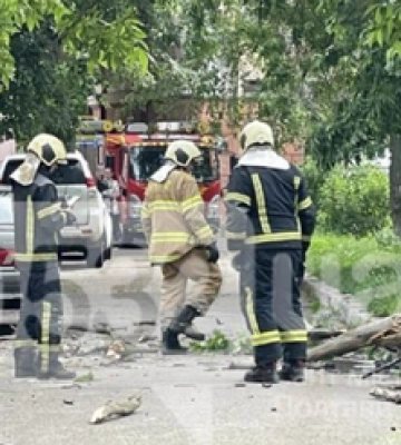 У Полтаві після травмування дитини терміново взялися за видалення аварійних дерев