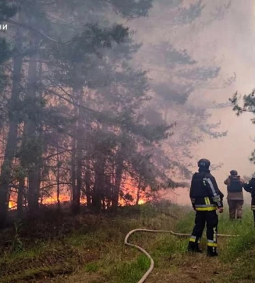 На Харківщині палали ліси та поля: що відомо про наслідки обстрілів