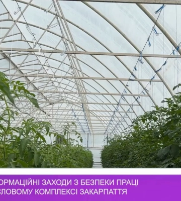 Тривають інформаційні заходи з безпеки праці в агропромисловому комплексі Закарпаття (відео)