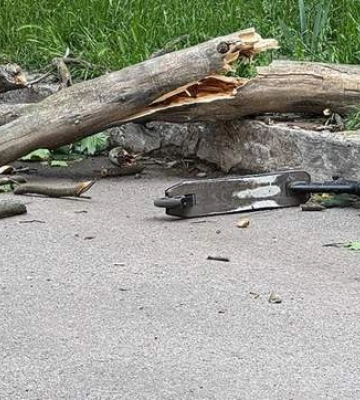 У центрі Полтави на 9-річного хлопчика впала гілка дерева: його госпіталізували до лікарні