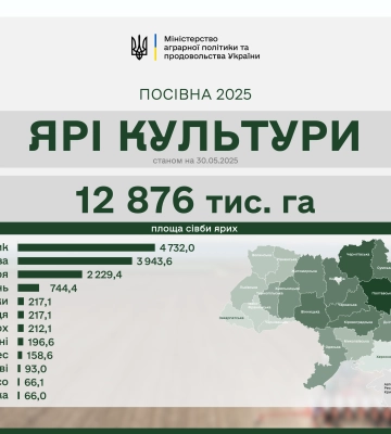 Весенняя посевная: аграрии выполнили 97% плана