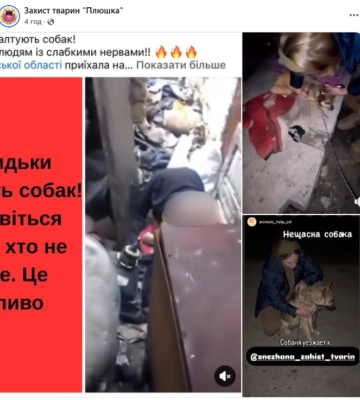 На Одещині покидьки ґвалтували… собак. Поліція вилучила докази