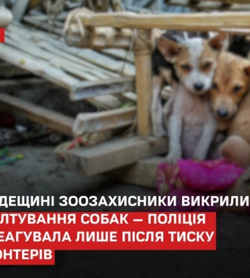 Скандал на Одещині: поліція розслідує зґвалтування собаки, вилучено докази