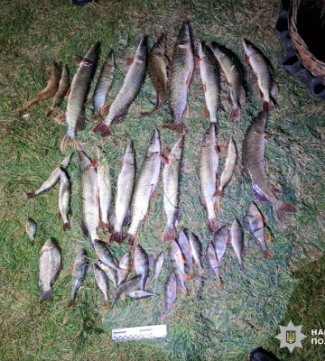 На Одещині двоє браконьєрів завдали державі понад 1,8 мільйона гривень збитків, - ФОТО