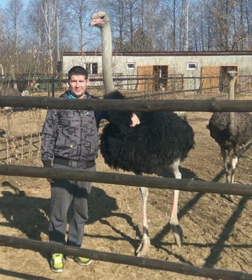 Фермер завів страусів замість курок: несуть яйця по два кілограми Фермер завів страусів замість курок: несуть яйця по два кілограми