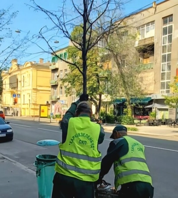У центрі Харкова почали спилювати засохлі дерева, натомість обіцяють посадити молоді
