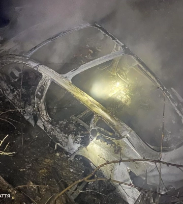 У  Вільхівці 22-річний водій Tesla на швидкості врізався в дерево, авто згоріло