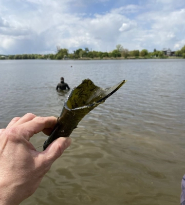 Водолази обстежили популярні водойми на Рівненщині і радять купатися в Обарові та Гощі