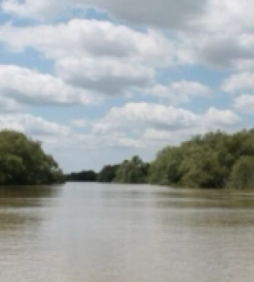 На Дунаї зафіксовано підвищення рівня води