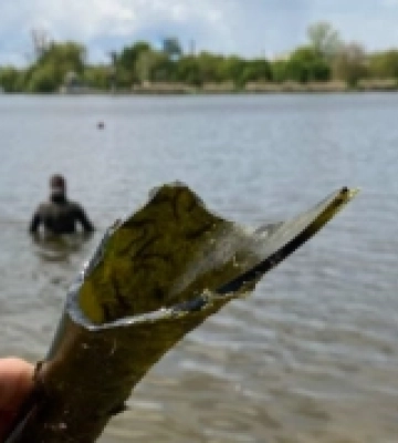 Водолази обстежили популярні водойми на Рівненщині і радять купатися в Обарові та Гощі