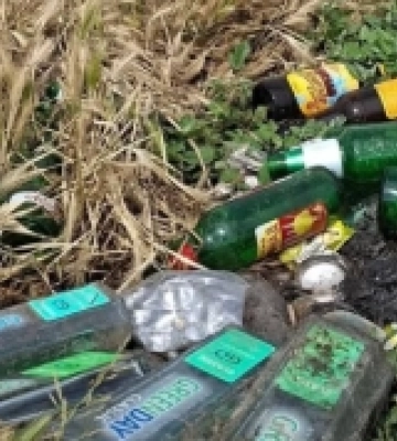 Одещина: рожеві фламінго покинули місце гніздування у «Тузлівських лиманах» через гучну вечірку місцевих жителів