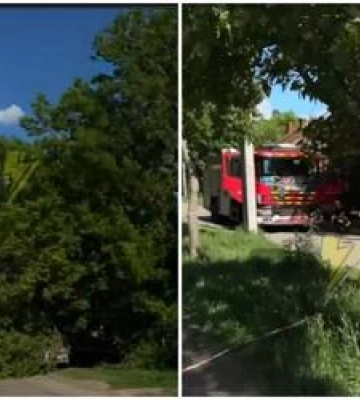 У Полтаві на припарковане авто впало дерево