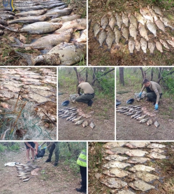 Черкащанин незаконно наловив карасів та лящів на 59 тисяч гривень (ФОТО)