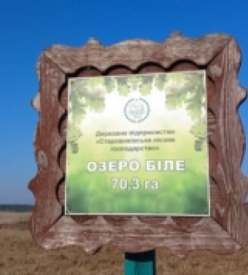 У селі на Волині засідала земельна комісія: які питання обговорили