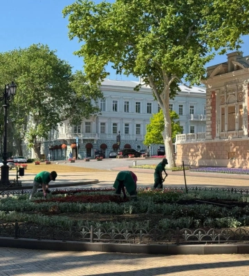 Майже 15 тисяч літніх квітів прикрасять клумбу на Біржовій площі в Одесі
