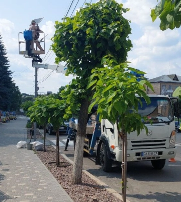 У Тальному встановлюють ліхтарі на сонячних панелях У Тальному встановлюють ліхтарі на сонячних панелях