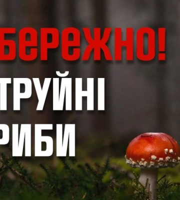На Миколаївщині зафіксовано випадок отруєння грибами