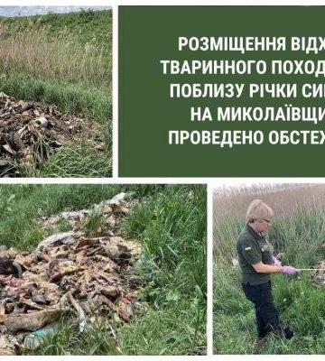 Екологічний скандал: Виявлено 270 м² тваринних відходів біля річки Синюха