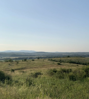 До 32° тепла очікується на Закарпатті