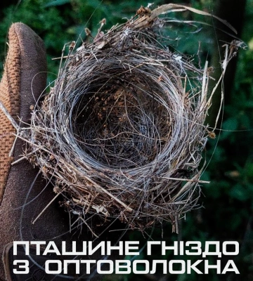 Природа + війна: азовці знайшли гніздо з оптоволокна та гілок