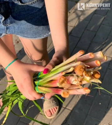 Скільки коштує лепеха на луцьких ринках 