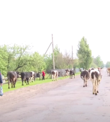 «Виживаємо»: як змінюється сільське життя на волинському Поліссі