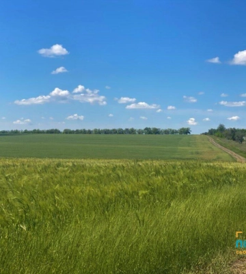 Місцями короткочасні дощі та гроза: якою буде погода в Одеській області до 13 червня
