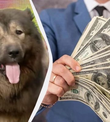 Найдорожчого собаку у світі продали за 6 млн доларів: що це за пес