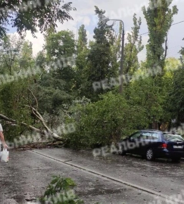 Київ накрила потужна злива з градом — попадали дерева, відео