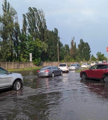 В некоторых районах Киева из-за непогоды зафиксировано падение деревьев и повреждения