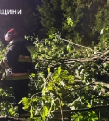 На Острожчині рятувальники розчищали дорогу від повалених дерев