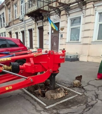 В Одесі комунальники за допомогою спецтехніки видалили більш, ніж 600 пнів