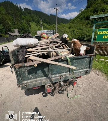 Біля кордону на Закарпатті у вантажівці зі сміттям та худобою знайшли 4 ухилянтів Біля кордону на Закарпатті у вантажівці зі сміттям та худобою знайшли 4 ухилянтів