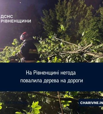 На Острожчині рятувальники розчищали дорогу від повалених дерев