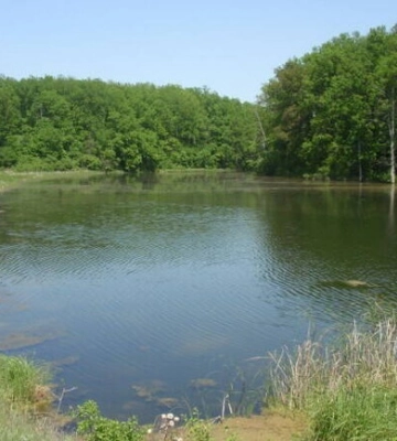 На Харківщині заборонили купатися в небезпечній водоймі