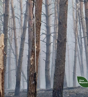 У лісах Черкащини сталося три пожежі через падіння уламків БпЛА (ФОТО)