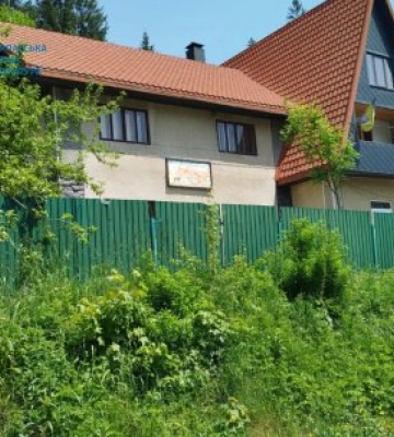 У Закарпатті повідомлено підозру лісничому «Ясінянського ЛМГ» за вирубку лісу на понад 3,3 мільйона гривень