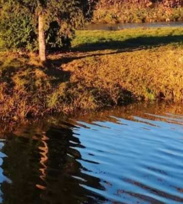 На Львівщині визначили водойми, де можна безпечно купатися