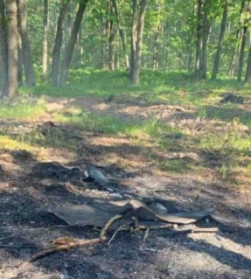 На Полтавщині загасили дві лісові пожежі після російських обстрілів