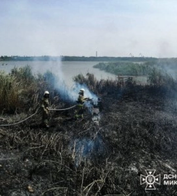 В мікрорайоні Ракетне урочище горить очерет