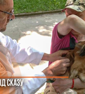 Щеплення від сказу просто у дворі: у Рівному працюють мобільні пункти вакцинації домашніх тварин (ВІДЕО)