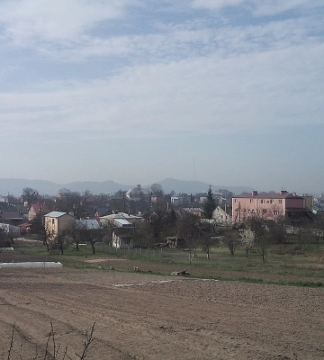 Україна дозволила Польщі проводити ексгумаційні роботи у Львові - МКСК
